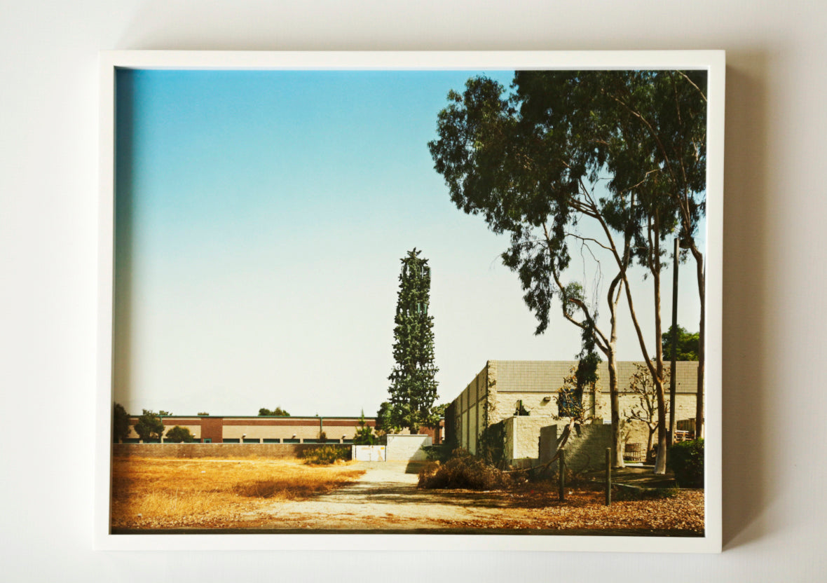 Nature Calls, Untitled #1 | 20 ½ in. x 16 ½ in.