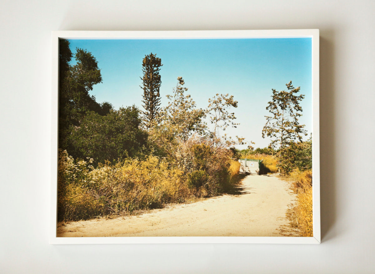 Nature Calls, Untitled #41 | 20 ½ in. x 16 ½ in.