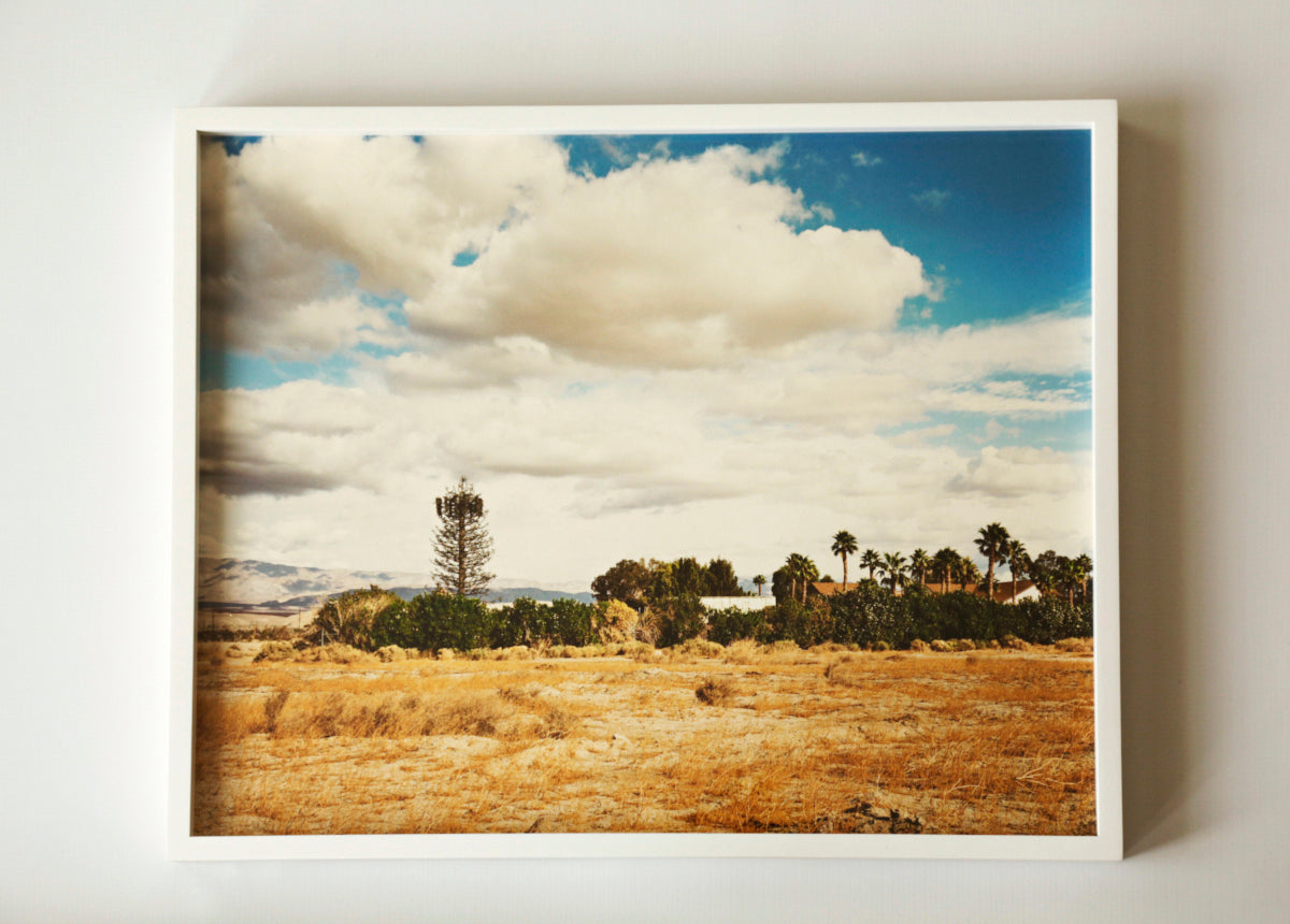 Nature Calls, Untitled #6 | 20 ½ in. x 16 ½ in.