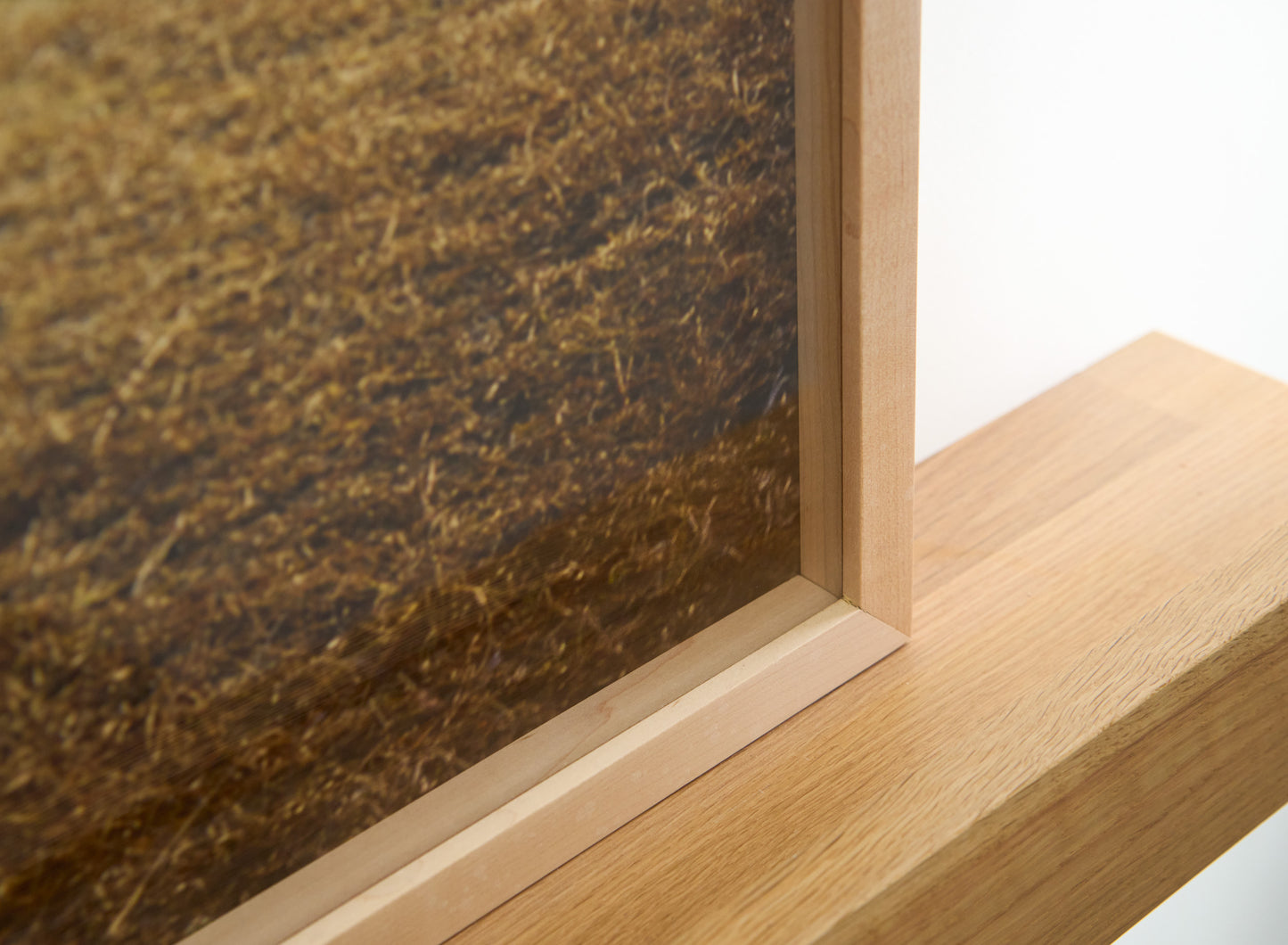 Boy, Naoshima | 35 ½ in. x 29 in.