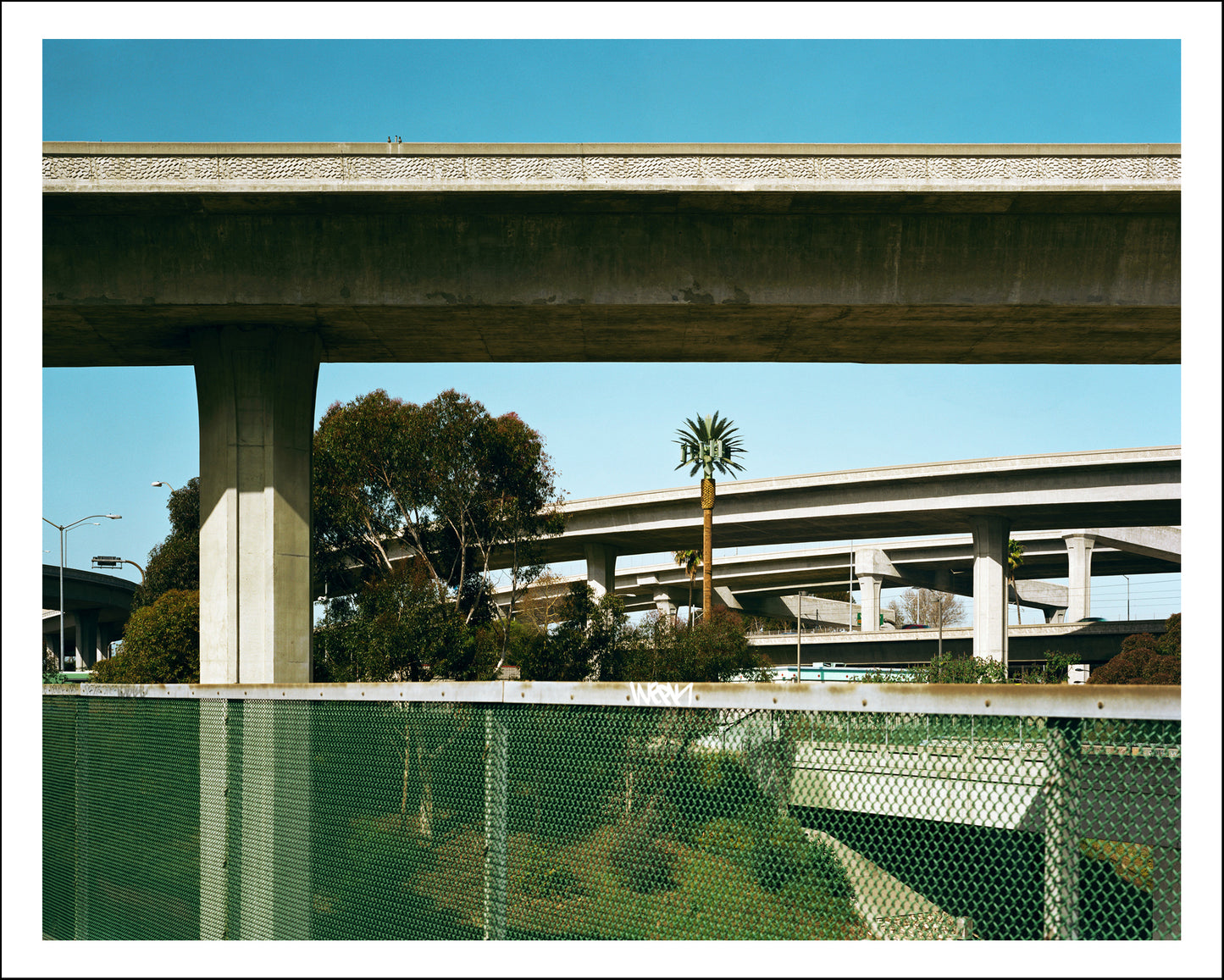 Untitled #19