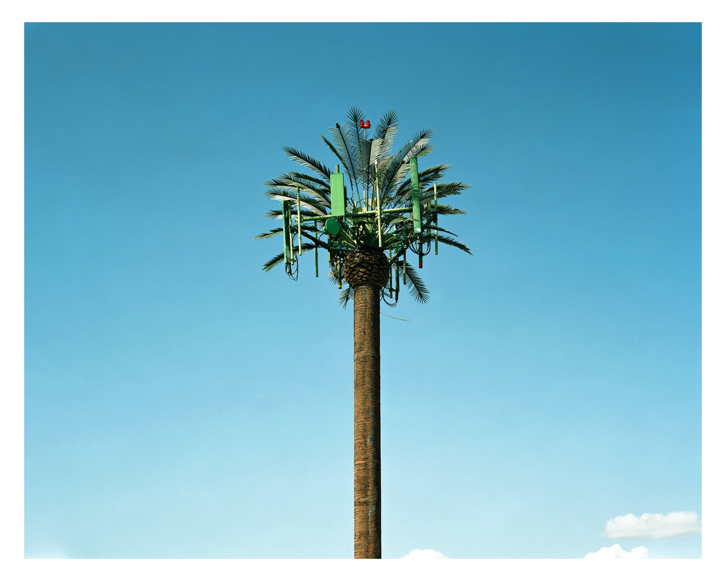 Untitled #31