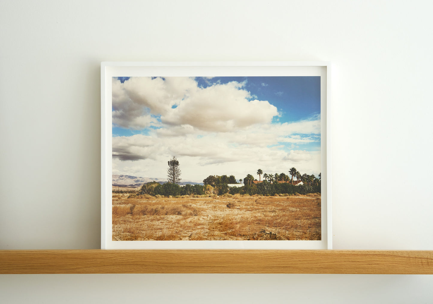 Nature Calls, Untitled #6 | 24 ½ in. x 20 ½ in.