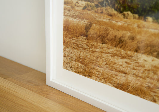 Nature Calls, Untitled #6 | 24 ½ in. x 20 ½ in.