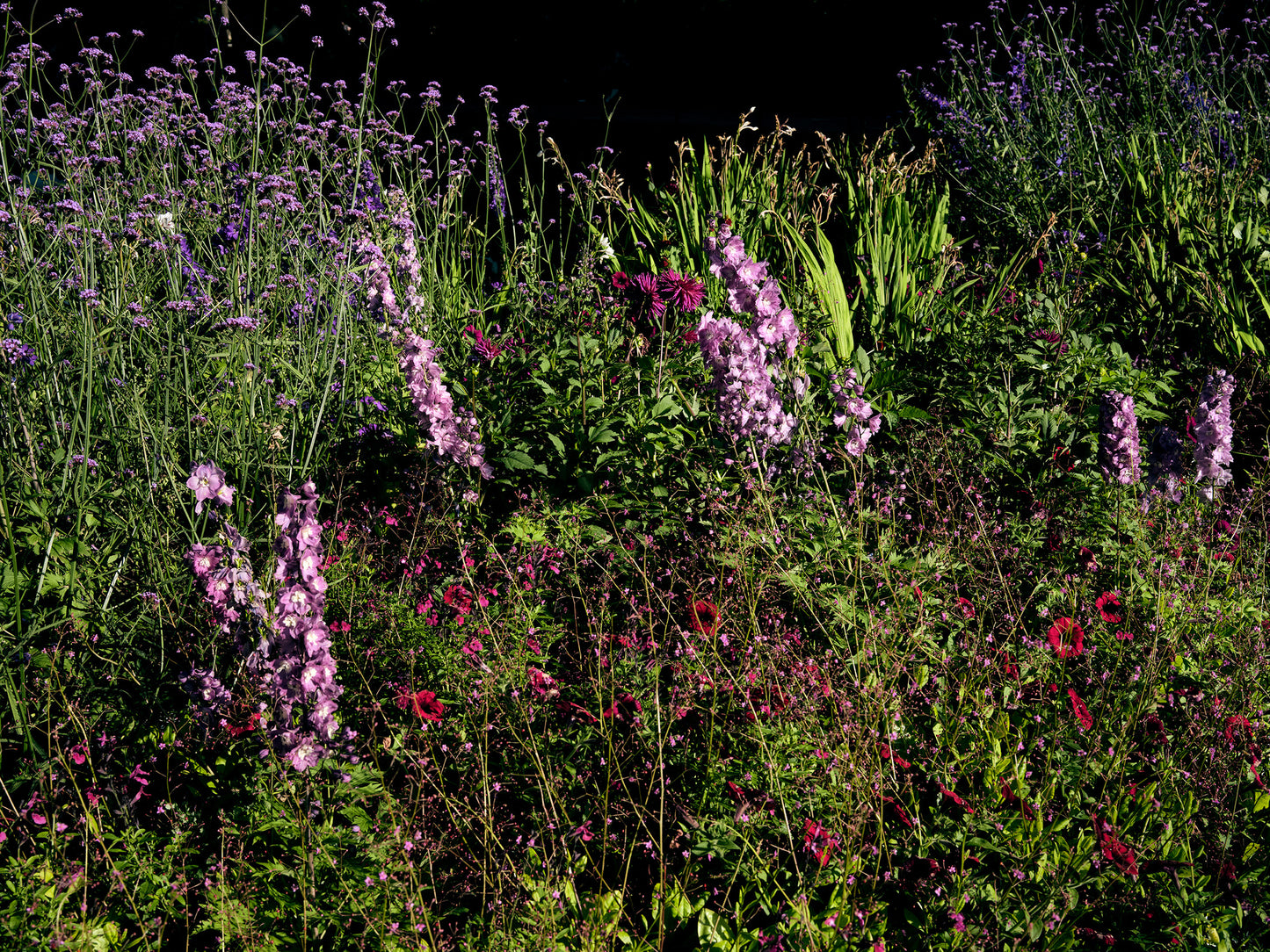 Wildflowers, Malmö