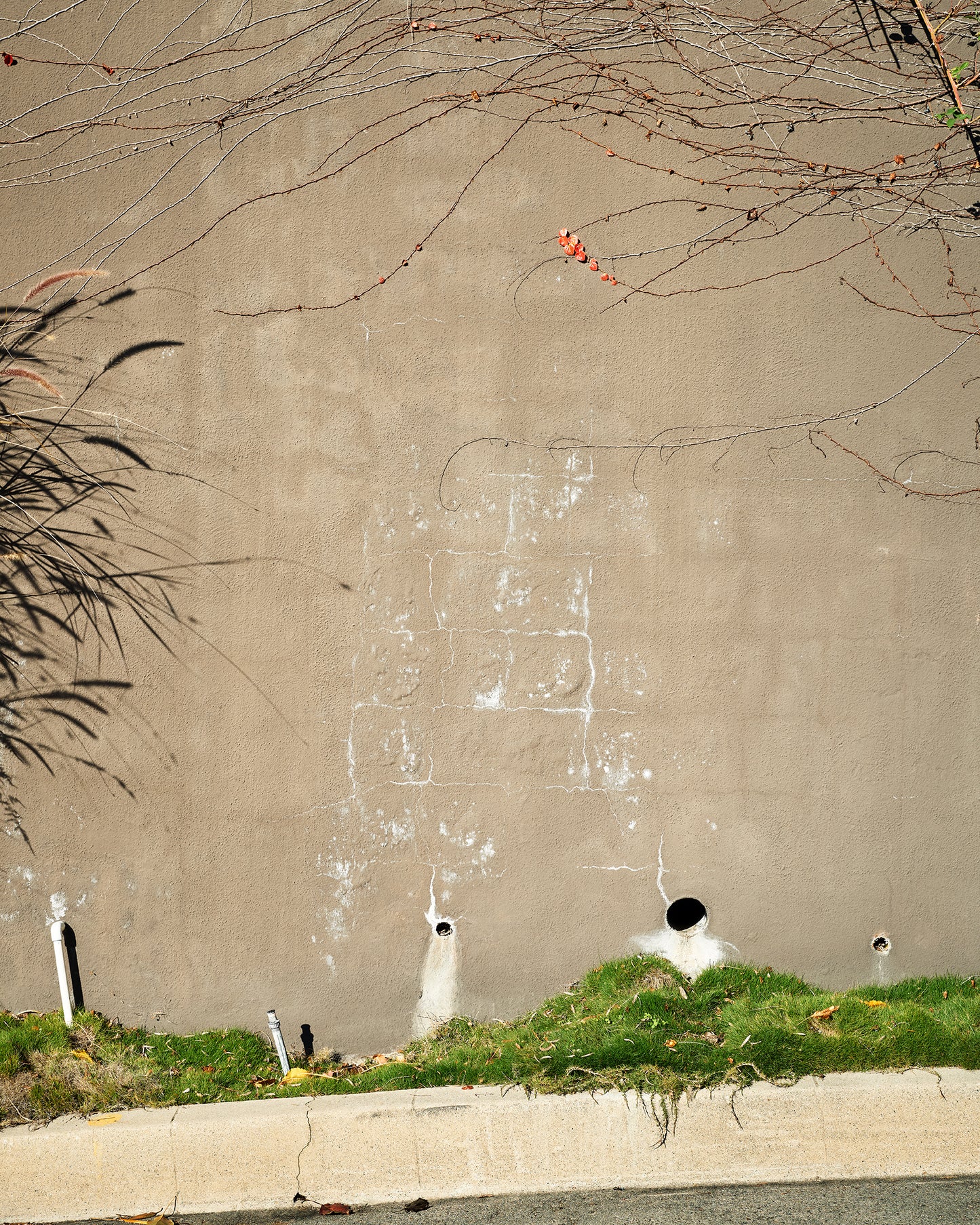 Pass, 2023 | 28 ½ in. x 24 ½ in.