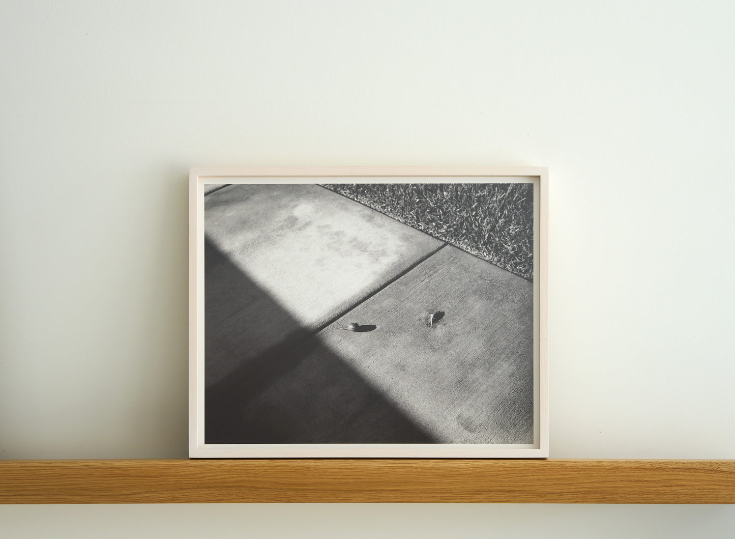 Snail, Beverly Hills | 20 ½ in. x 16 ½ in.