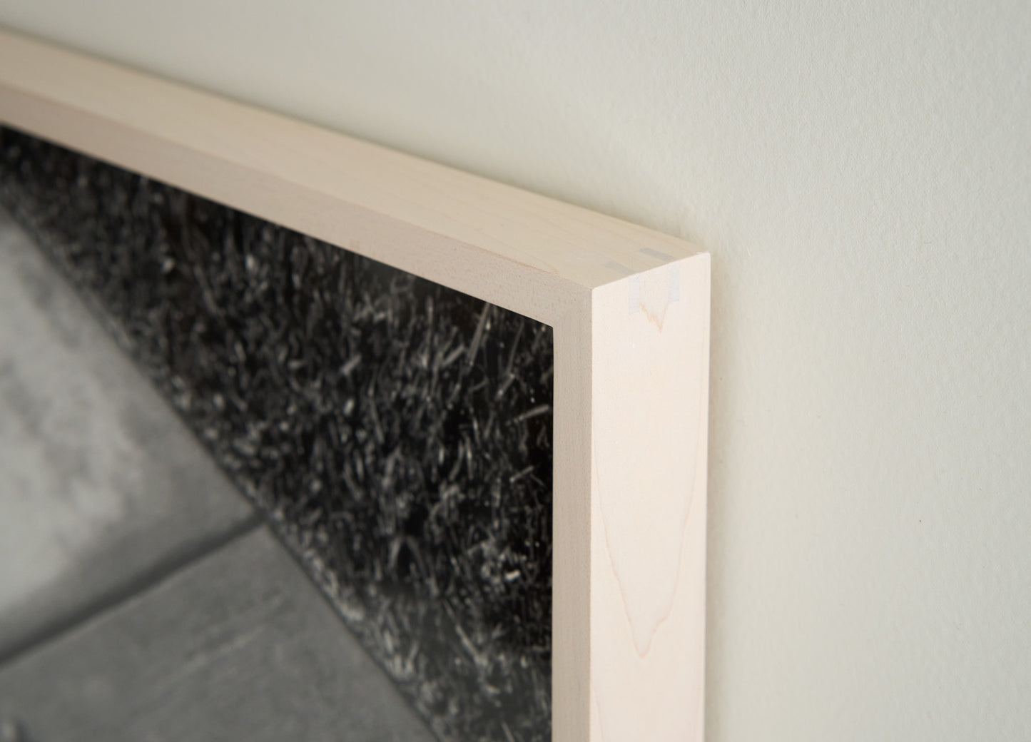 Snail, Beverly Hills | 20 ½ in. x 16 ½ in.