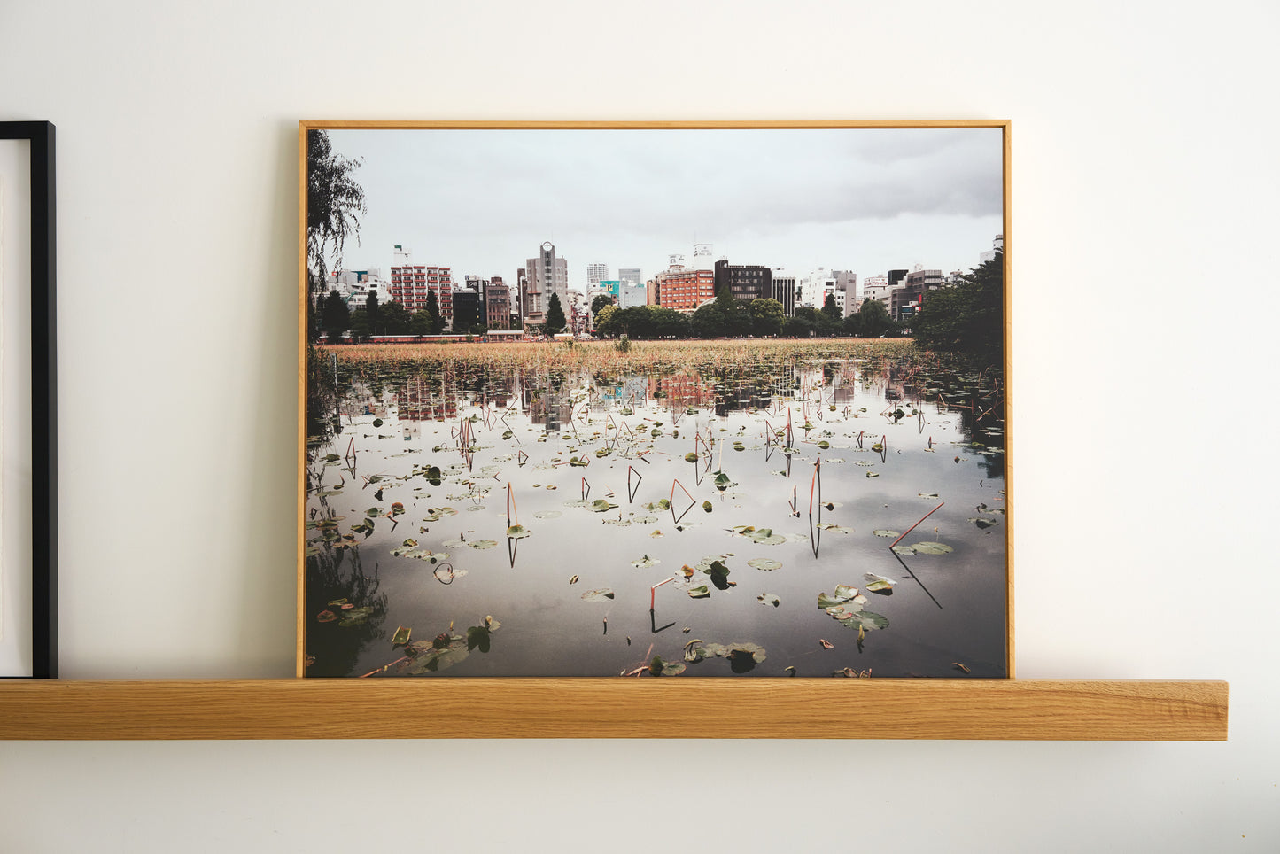 Ueno Park, Ueno | 30 ½ in. x 24 ½ in.