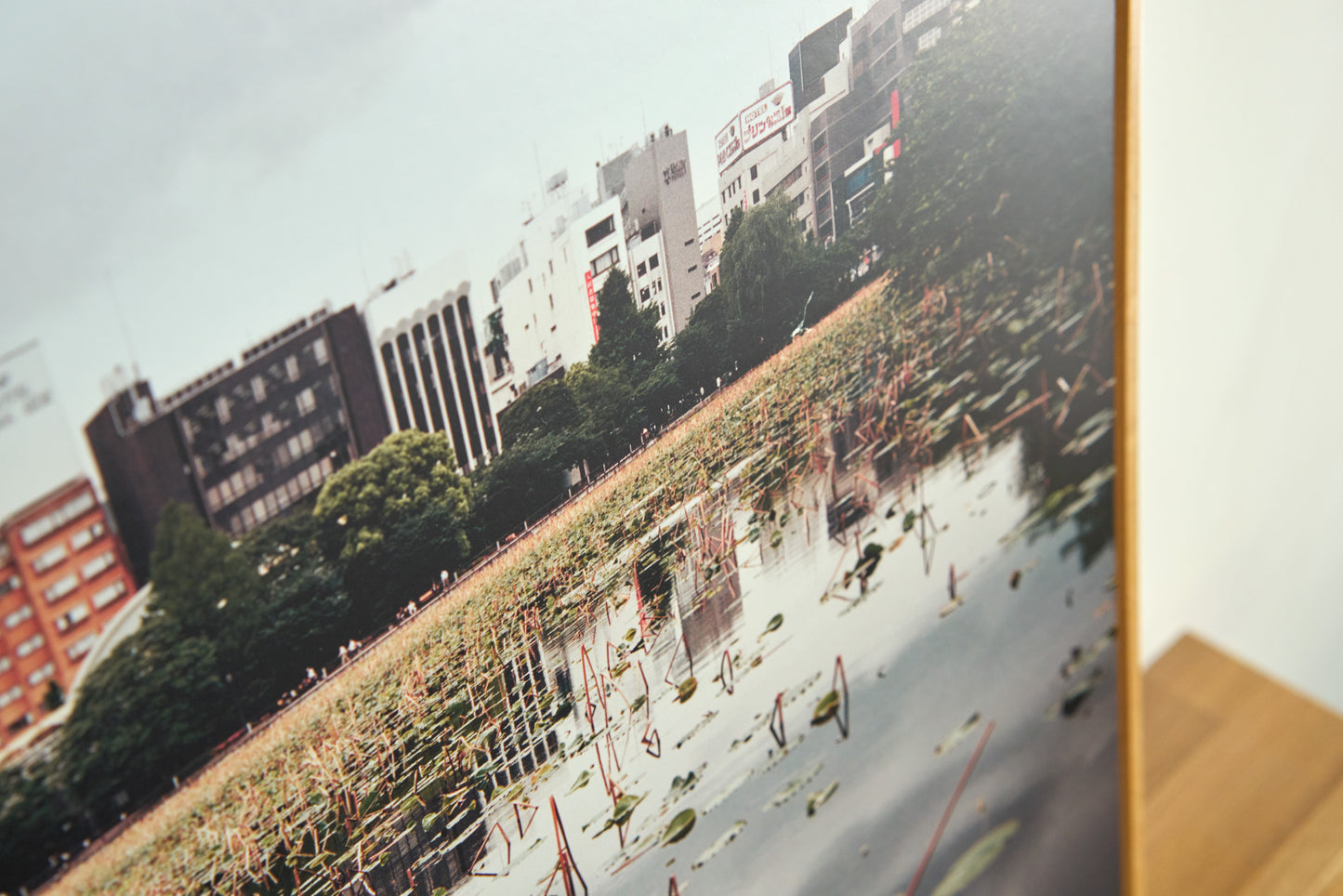 Ueno Park, Ueno | 30 ½ in. x 24 ½ in.
