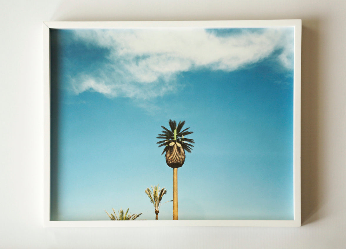 Nature Calls, Untitled #9 | 20 ½ in. x 16 ½ in.