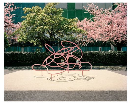 Super Extra Natural! Deluxe | Book x Print x Shirt