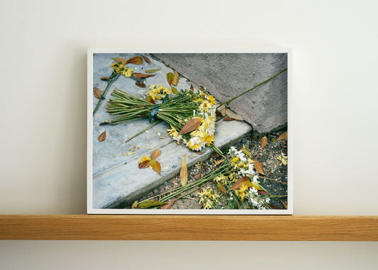 Hacienda, 2021 | 20 ½ in. x 16 ½ in.