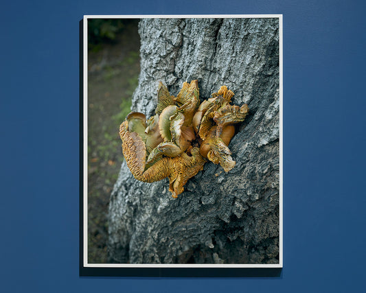 Klump, 2023 | 30 in. x 38 in.