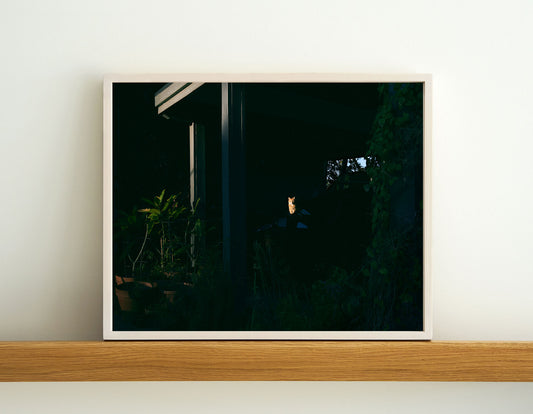 Magnolia, 2021 | 20 ¾ in. x 16 ¾ in.