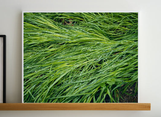 Niagara, 2023 | 38 in. x 30 in.