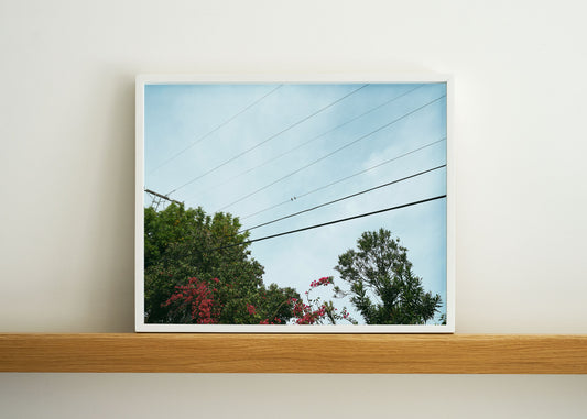 Pastel, 2020 | 20 ½ in. x 16 ½ in.