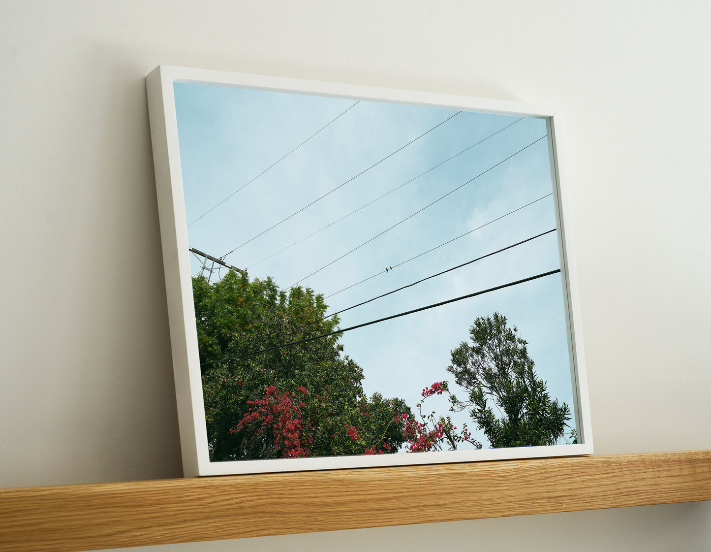 Pastel, 2020 | 20 ½ in. x 16 ½ in.