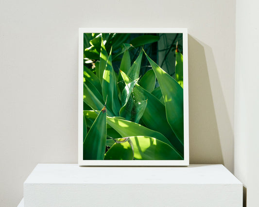 Tropical, 2022 | 11 ½ in. x 14 ½ in.