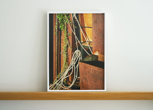 Vineland, 2021 | 18 in. x 24 ¼ in.